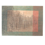 Forest Window 1