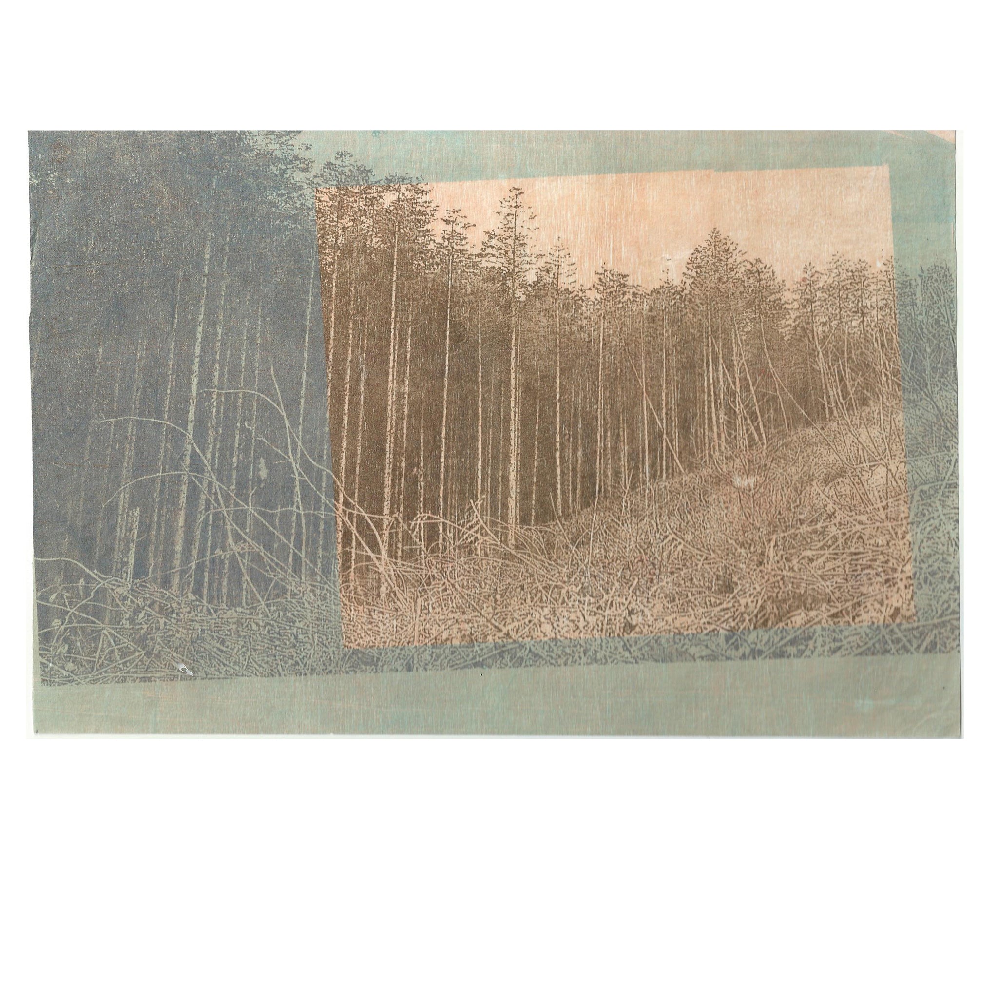 Forest Window View 2